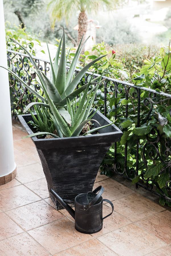 Aptera Zen Serenity Retreat With Great Outdoors, Pool & Parking מראה חיצוני תמונה
